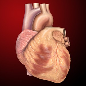 Cardiac Marker