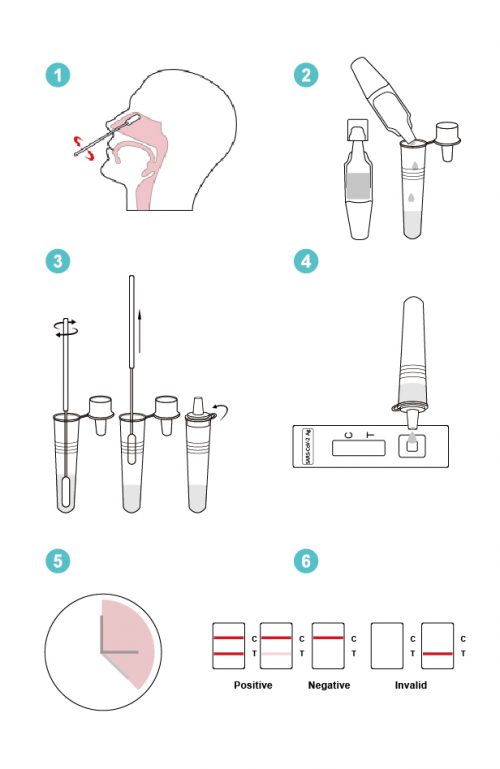 COVID19 Antigen Rapid Test Kit JOYSBIO Biotechnology