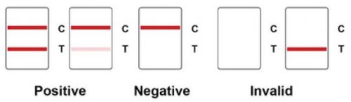 COVID-19 Antigen Rapid Test Kit - JOYSBIO Biotechnology